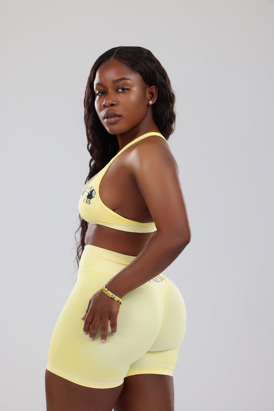 Solid Color High strength shockproof Fitness Women Sport Bra Set